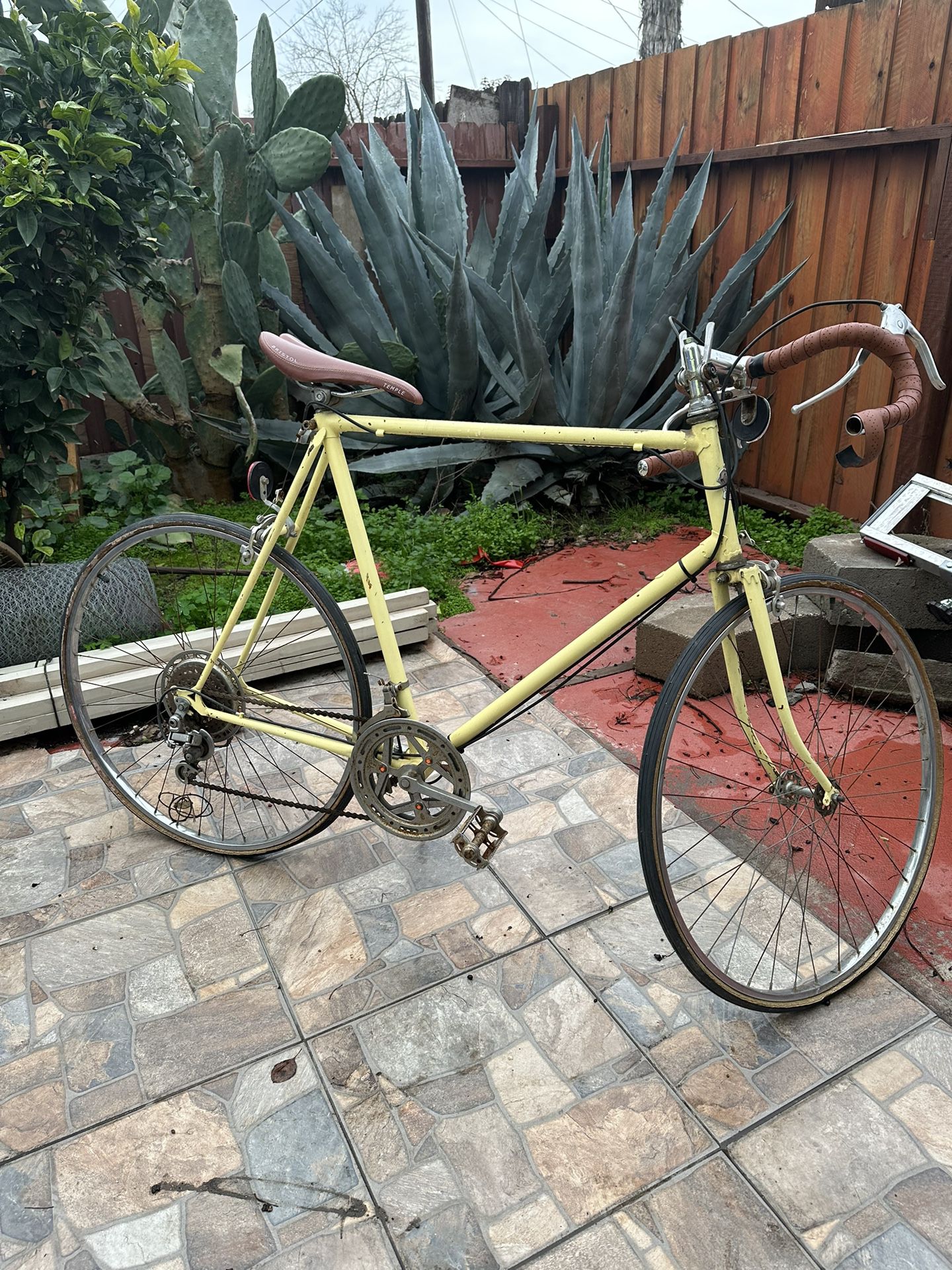 Vintage Nishiki Road bike