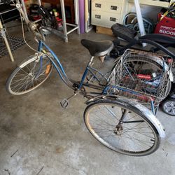 1979 Schwinn Town And Country 