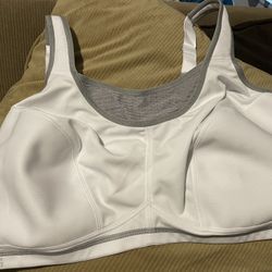 50D Bra