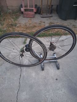 Bontrager SSR 700x 25 rims and tires