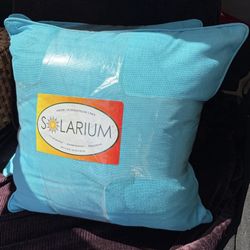 Solarium Indoor /Outdoor 20”X 20 “Pillows ( Set Of 2)