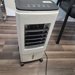 Cooler- works with Ice or water