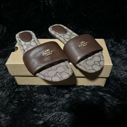 Coach Sandals 