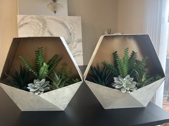 Decorative Succulent Hanging Plant