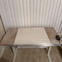 Electric Standing Desk