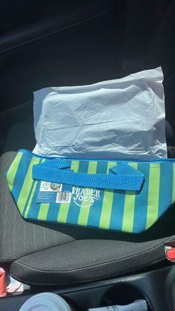 Limited Edition Trader Joe’s Mini Insulated Bag Cooler Striped