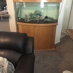 Fish tank / Aquarium 
