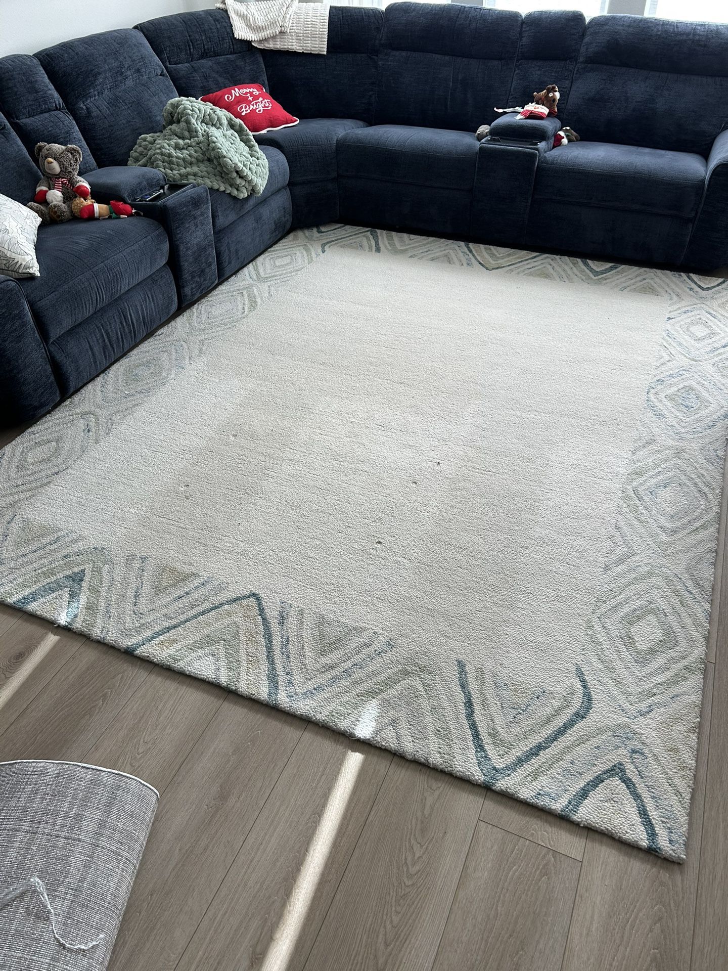 Beautiful 8x10 Area Rug for Sale