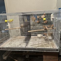 Bird Cages / Birds Breeding Cages 