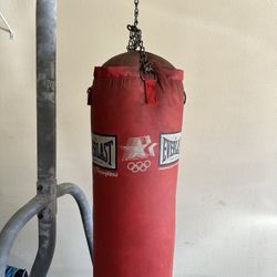 Punching Bag With stand 