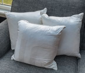 16" x 16" feather and down pillow insert, 100% cotton cover, 200 thread count. Three avail. $10 each