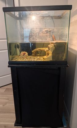 FREE Fish/Turtle Tank (Fish and Turtle NOT included)