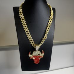 Bulls pendent and chain 