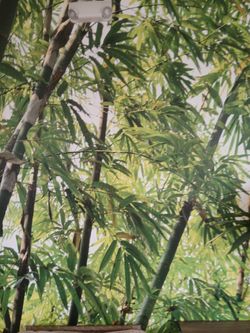 Bamboo Art Works very Rare