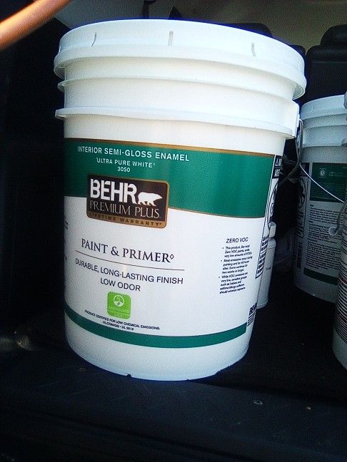Bear Paint And Primer Interior