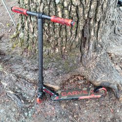 Jetson Scooter And CarvPro Scooter
