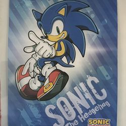 Sonic the Hedgehog Vinyl Banner 33x44 inches just $25 xox