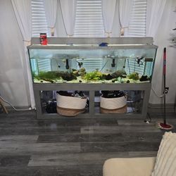 Fish Tank And Stand 125 Gallons