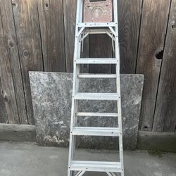 6 ft Ladder