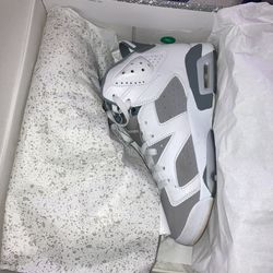 Jordan 6s
