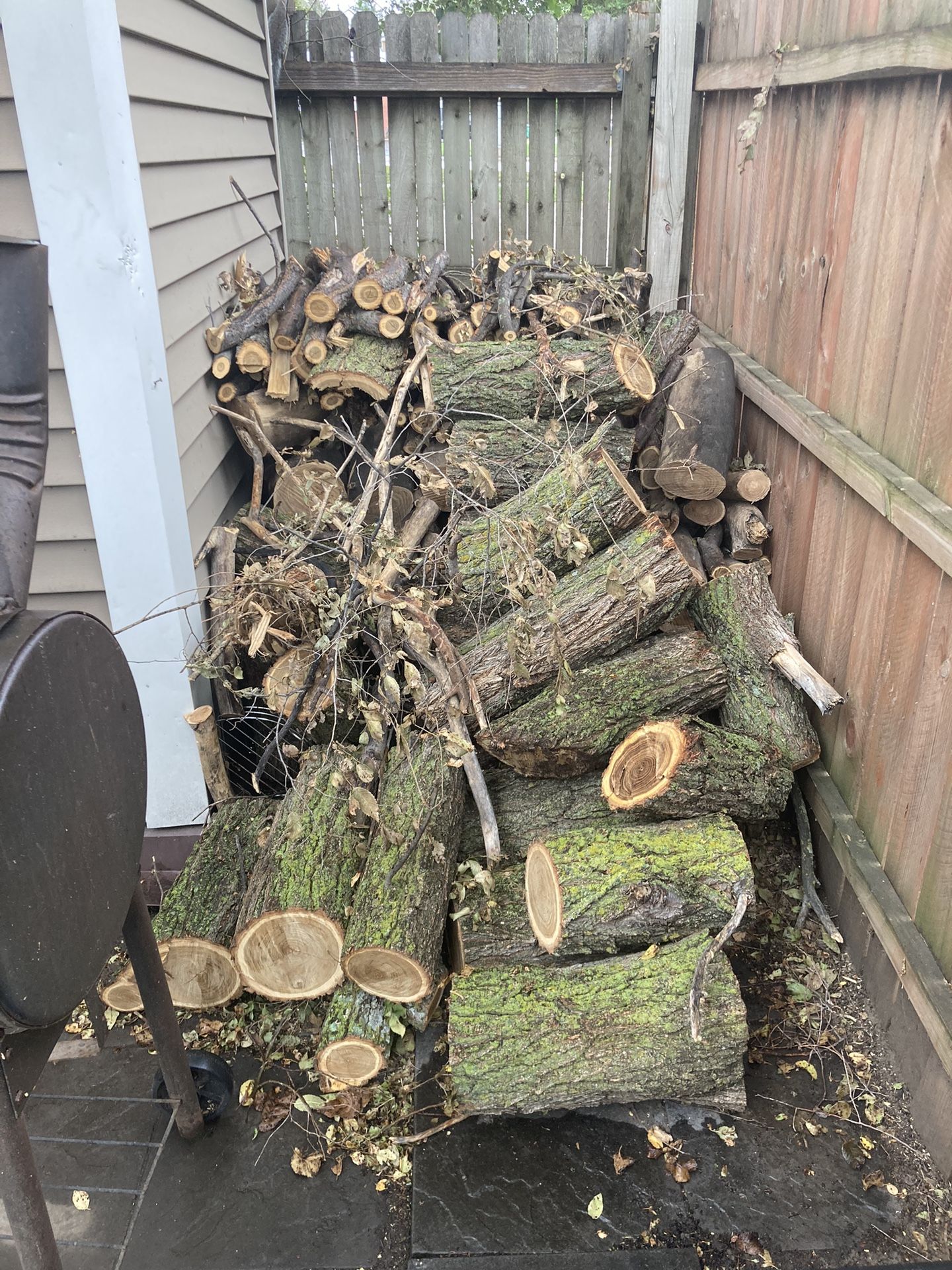 Logs For Fire Place Or Pit