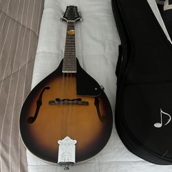 Donner DML-1 A Style Mandolin  Sunburst Donner Mandolin 8 String with Soft Case 