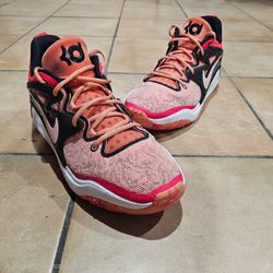 Men's Nike x Napheesa Collier KD 15 'Community - size 13