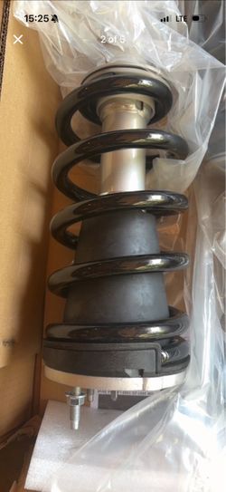 Strut assembly( see description)