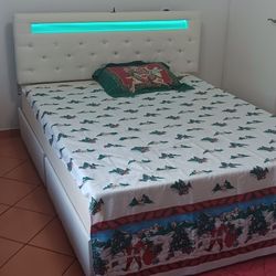 Queen Size Bed with Lights Adjustable Headboard, 4 Storage Drawers with 10-inch memory foam mattress