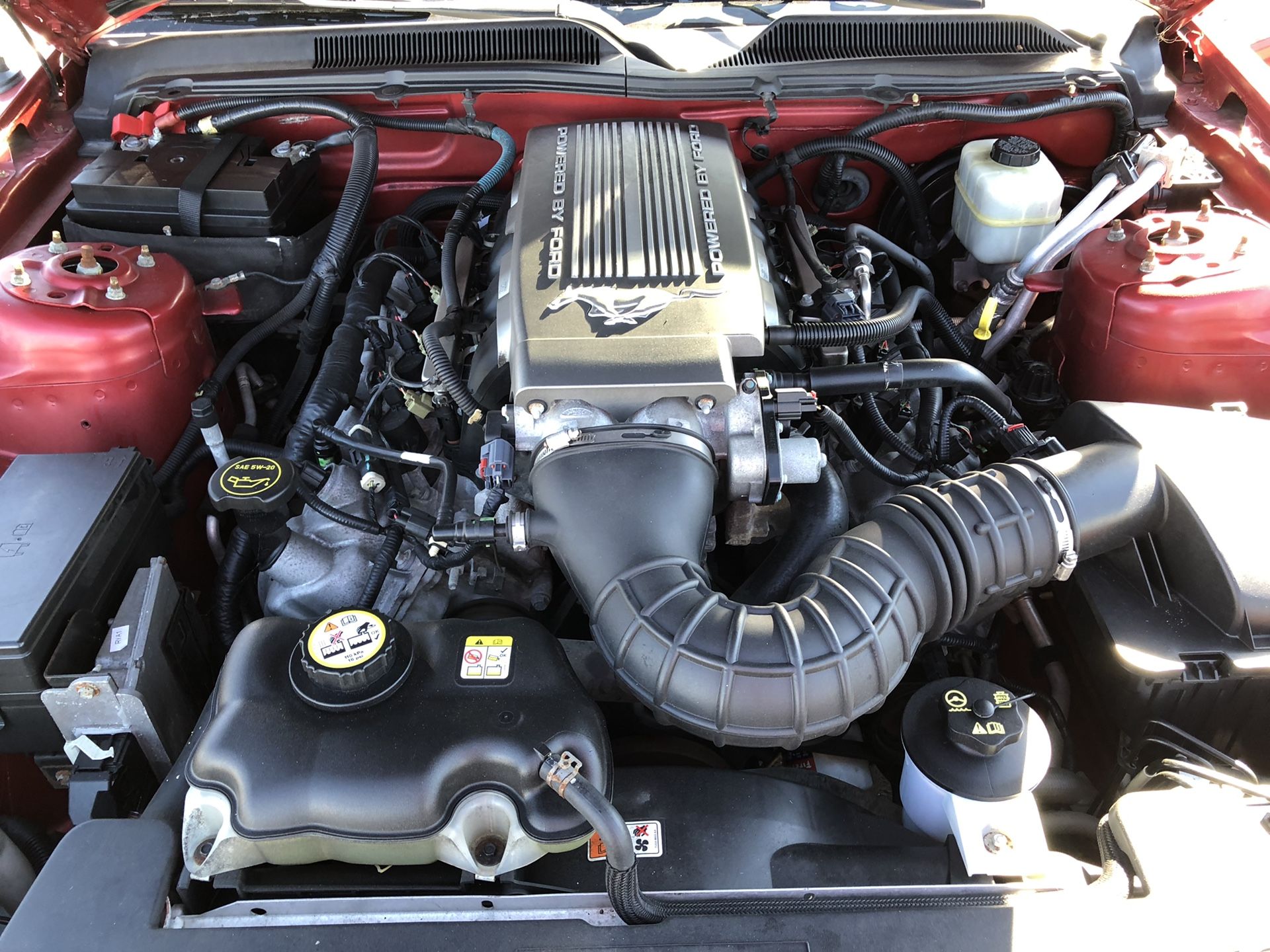 2008 Ford Mustang