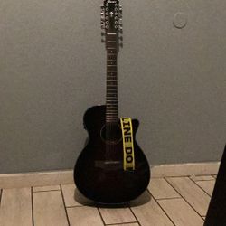 Ibanez 12 String Guitar Brown/Black Color ,With Strap, With Brand New Battery , With Case , 