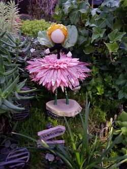 Fairy