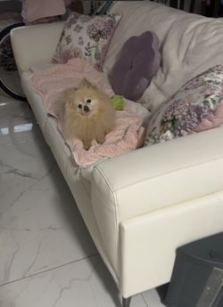 White Italian Real Leather Couch