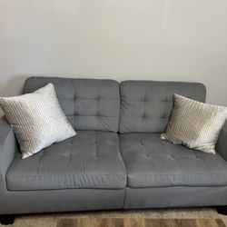 2 Gray Couches 
