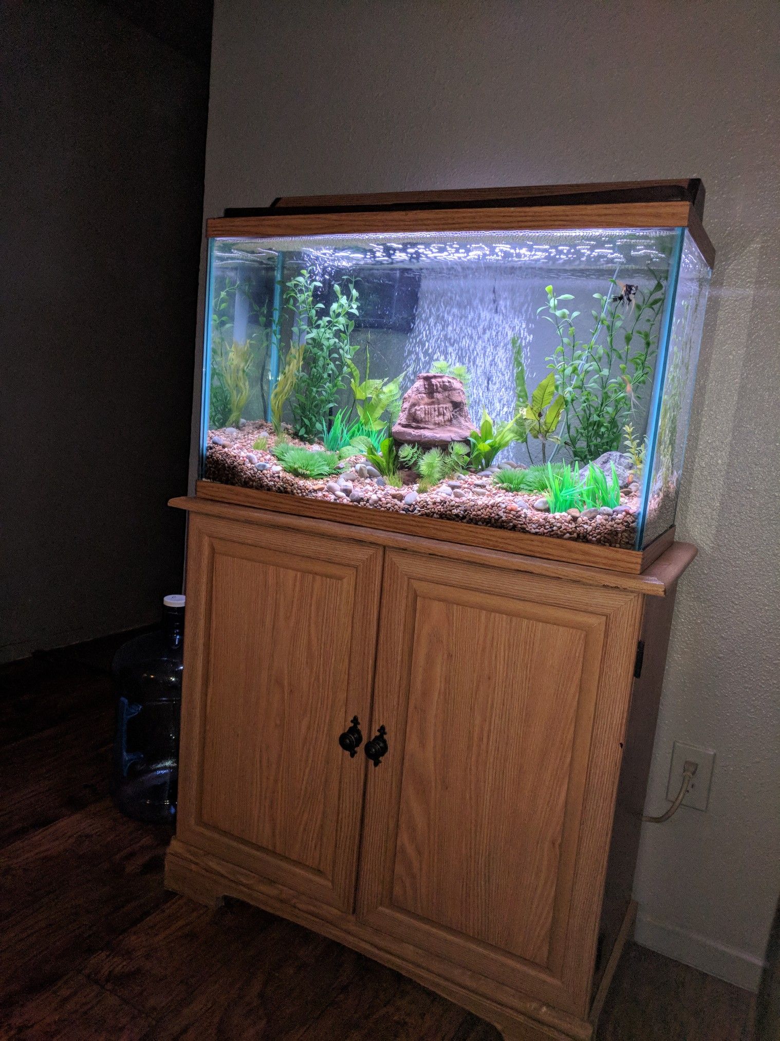 Really Nice 30 Gallon Fish Tank And Stand Everything You Need For Sale In Yuma Az Offerup
