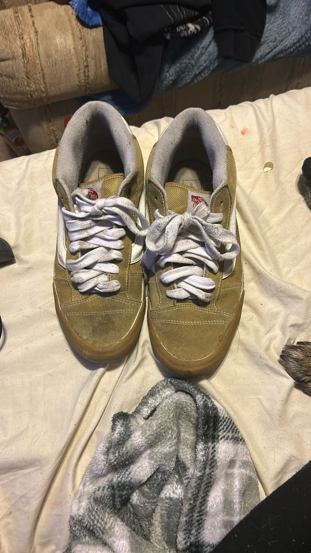 Vans Skate Shoes