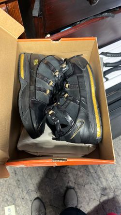 Nike LeBron 3s Size 7