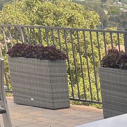 2 Outdoor Wicker Planter With Plants 