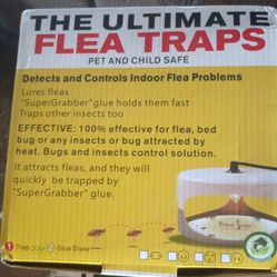 Flea Trap