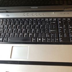 Toshiba Satellite M65