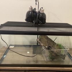 Fish Tank And Appliances
