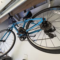 Giant Bike 20 Inch Wheel