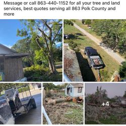 Tree Work And Services 