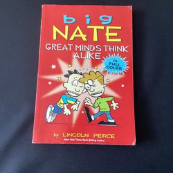 Big Nate Book 