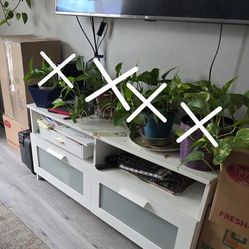 Indoor Moving Sale