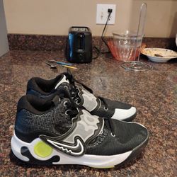 LeBron Size 12