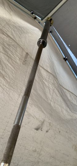 Barbell and Bumper Weights