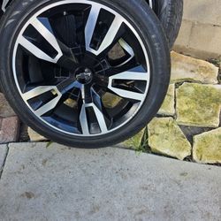 Rims 22s