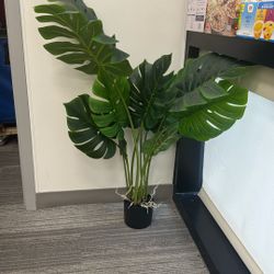 Faux Plant 