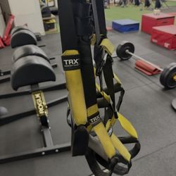 Trx Straps 